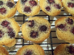 Blackberry Financier