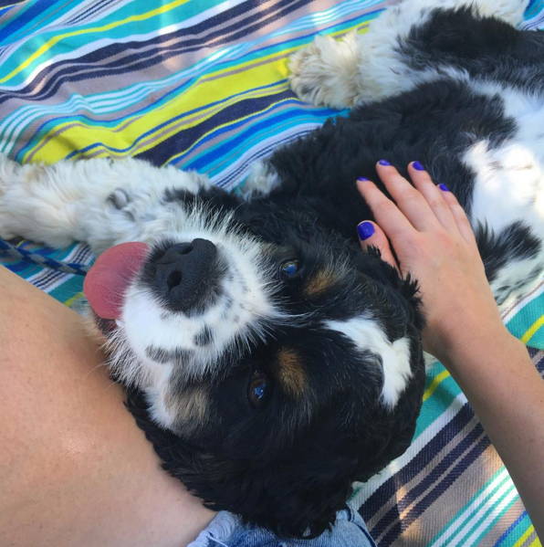 Screen Shot 2016-07-18 at 6.49.36 PM