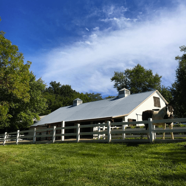 screen-shot-2016-09-23-at-7-06-01-pm