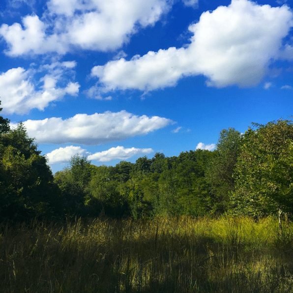 screen-shot-2016-09-23-at-7-06-25-pm