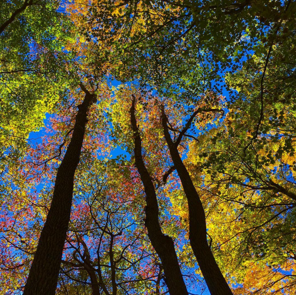 screen-shot-2016-11-16-at-6-12-39-pm