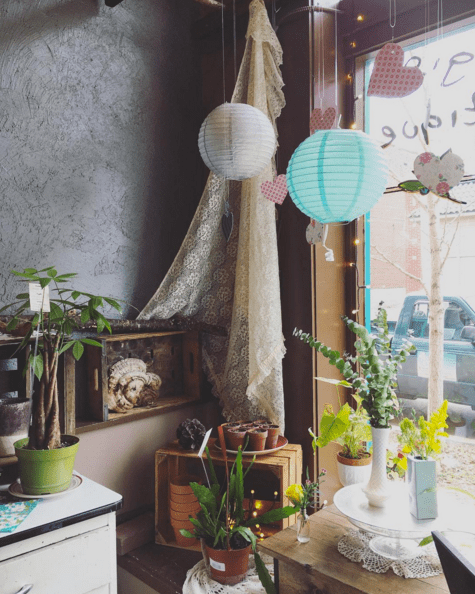 screen-shot-2017-02-09-at-3-24-37-pm