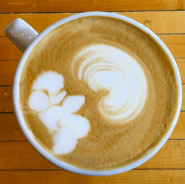 screen-shot-2017-02-09-at-3-25-49-pm