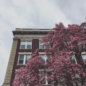 Screen Shot 2017-03-06 at 6.03.41 PM