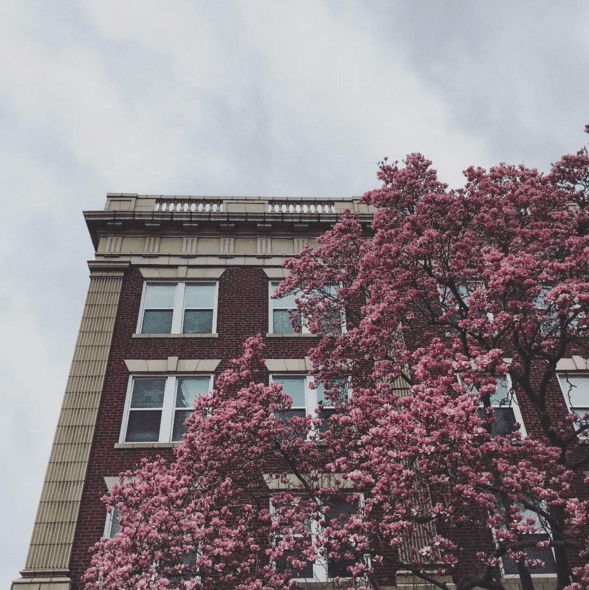 Screen Shot 2017-03-06 at 6.03.41 PM