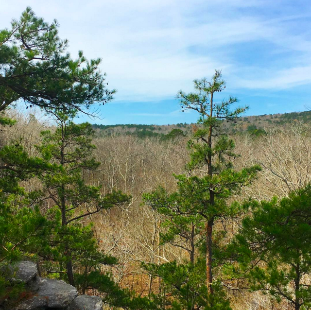 Screen Shot 2017-04-10 at 8.00.03 AM