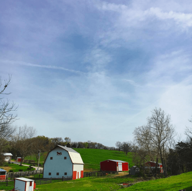 Screen Shot 2017-04-10 at 8.02.15 AM