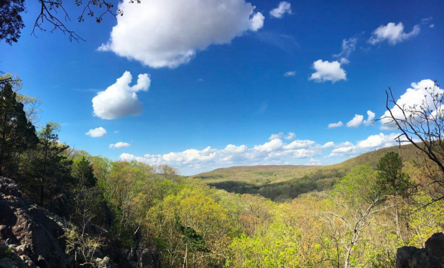 Screen Shot 2017-04-17 at 8.24.50 AM