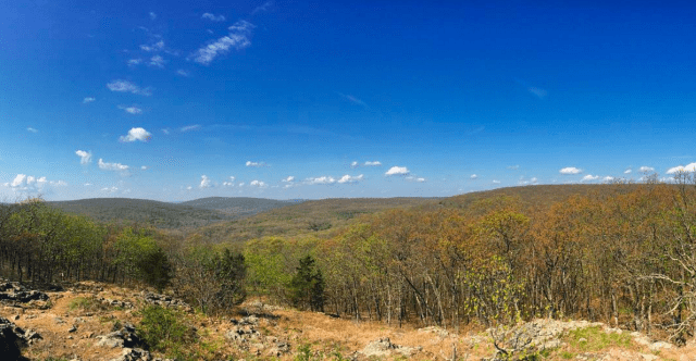 Screen Shot 2017-04-17 at 8.26.11 AM