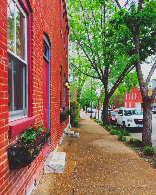 Screen Shot 2017-04-24 at 8.56.30 AM