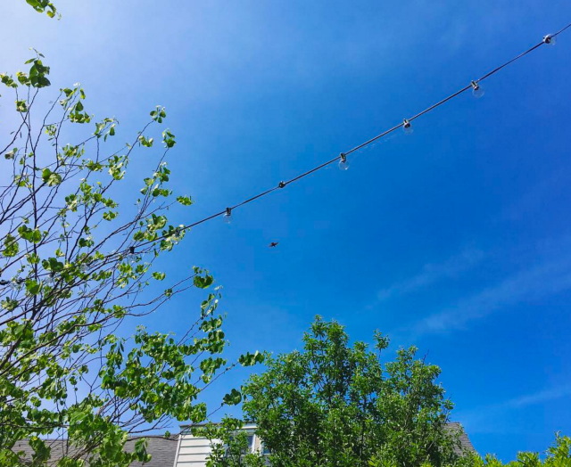 Screen Shot 2017-05-12 at 8.34.32 AM