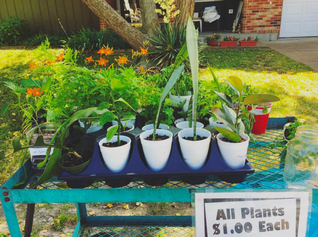 Screen Shot 2017-06-16 at 8.53.03 AM