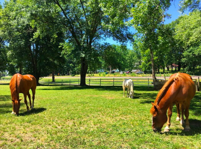 Screen Shot 2017-06-16 at 8.53.47 AM