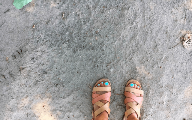 Screen Shot 2017-06-16 at 8.54.00 AM