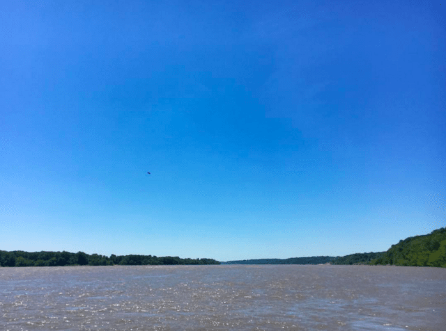 Screen Shot 2017-06-16 at 8.54.17 AM