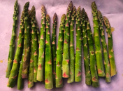 Screen Shot 2017-06-30 at 7.57.56 AM