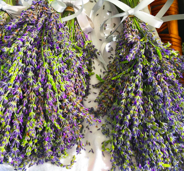 Screen Shot 2017-07-17 at 8.24.17 AM