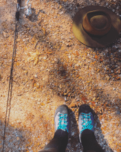 Screen Shot 2017-07-18 at 7.50.23 AM