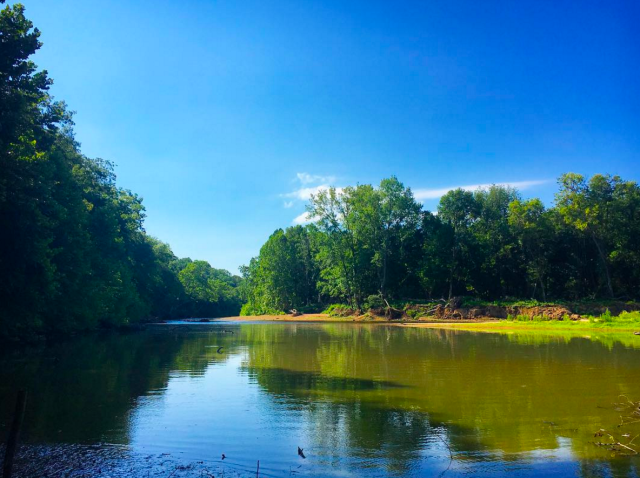 Screen Shot 2017-07-18 at 7.50.37 AM