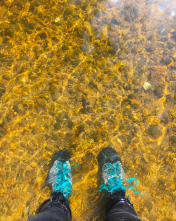 Screen Shot 2017-07-18 at 7.51.09 AM