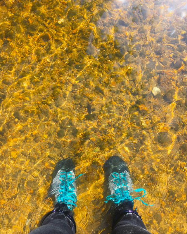 Screen Shot 2017-07-18 at 7.51.09 AM