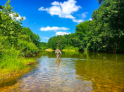 Screen Shot 2017-07-18 at 7.51.20 AM