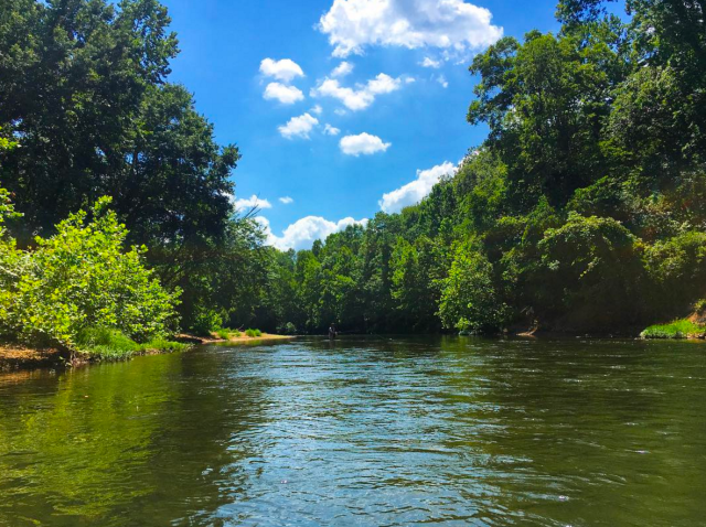 Screen Shot 2017-07-18 at 7.51.46 AM