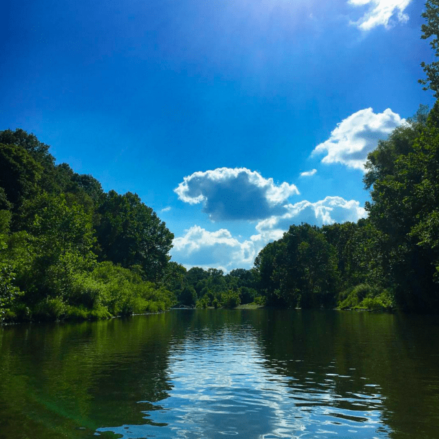 Screen Shot 2017-07-18 at 7.51.57 AM