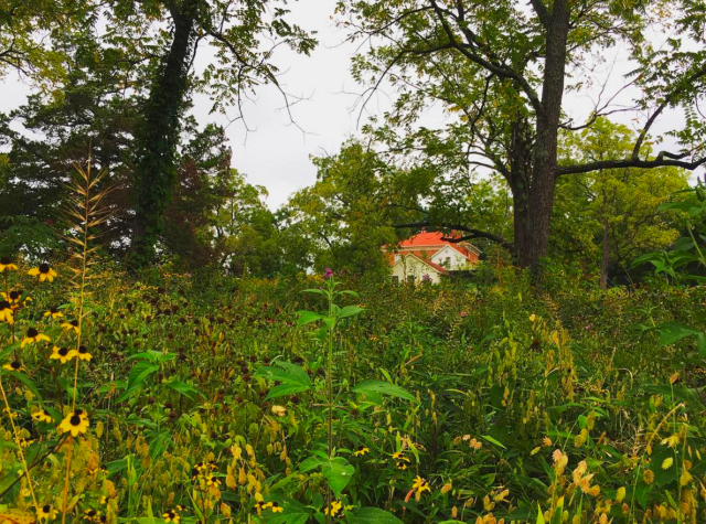 Screen Shot 2017-08-15 at 8.24.46 AM