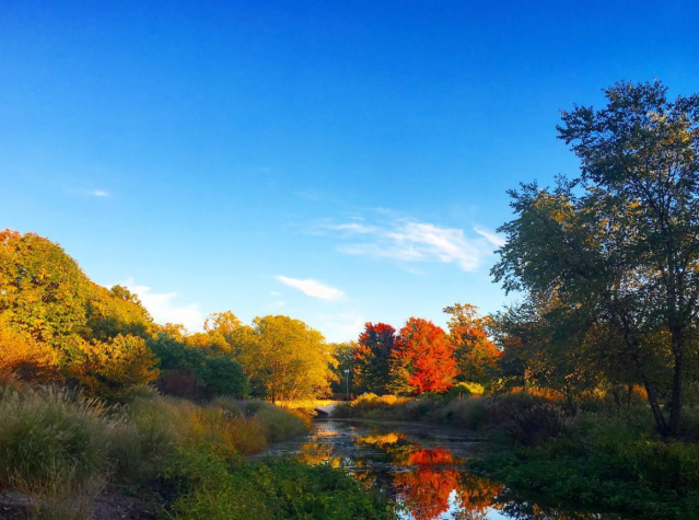 Screen Shot 2017-10-18 at 8.42.00 AM