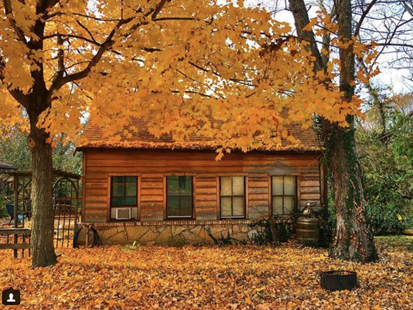 Screen Shot 2017-11-12 at 11.37.15 AM