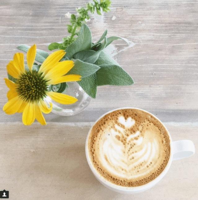 Screen Shot 2017-11-21 at 2.47.49 PM