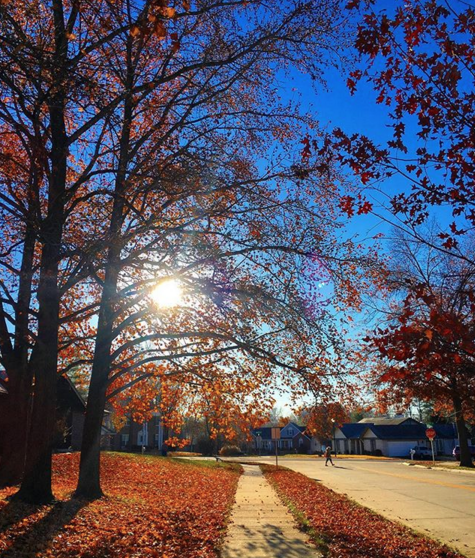 Screen Shot 2017-11-26 at 2.33.44 PM.png