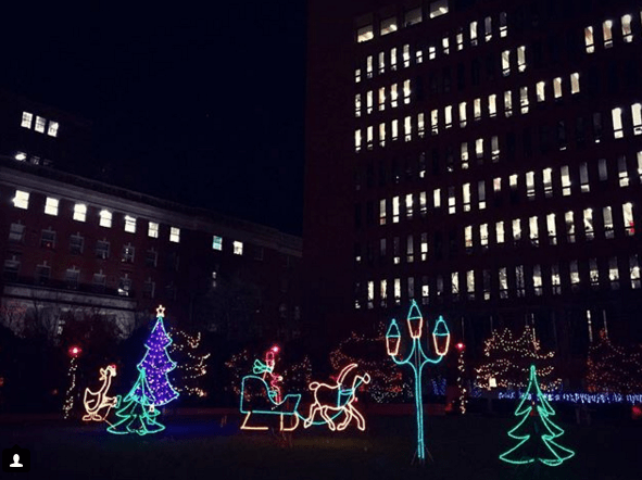 Screen Shot 2017-12-10 at 11.48.48 AM