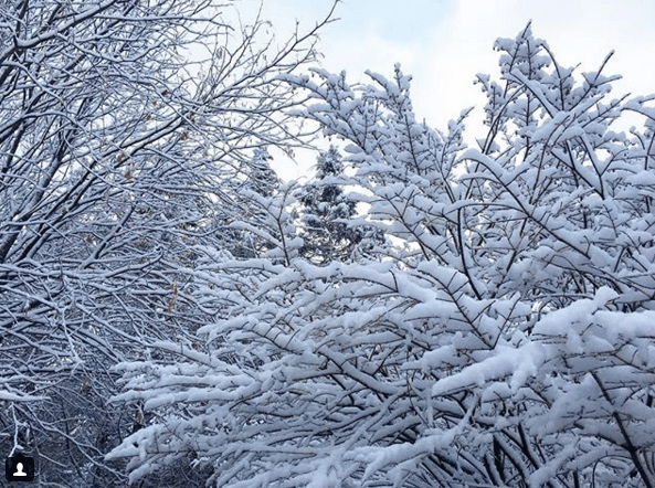 Screen Shot 2017-12-24 at 10.53.30 AM