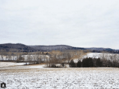 Screen Shot 2017-12-31 at 12.16.52 PM