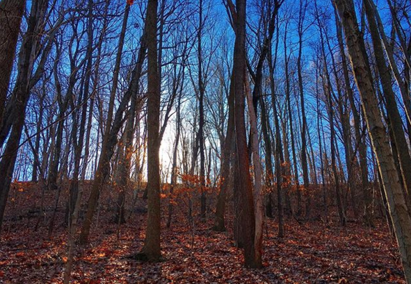 Screen Shot 2018-01-28 at 12.33.00 PM