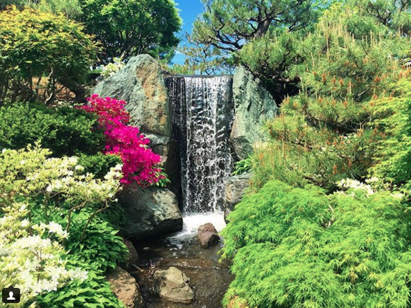 Screen Shot 2018-05-06 at 3.10.33 PM