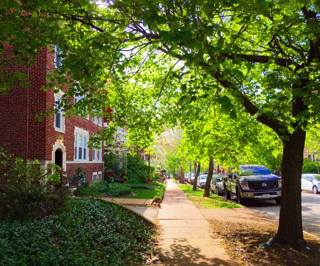 193AA0B6-7125-4C96-8ECE-87C1F809E9E6