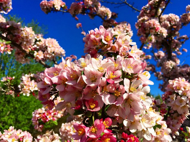 C24DD5FB-B2C7-4A62-96EF-5DEB7D669FD7