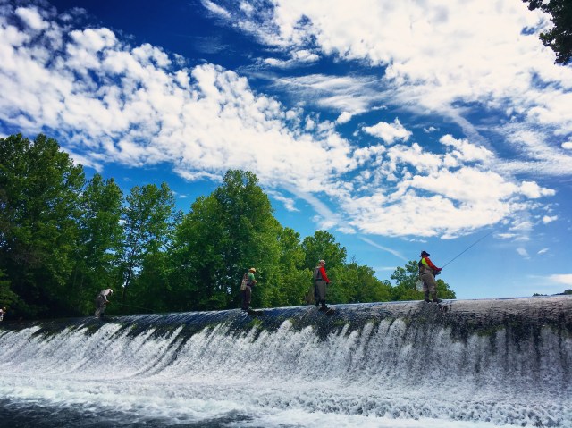 6C0BB83F-7F1E-4F64-B208-4A79623D37AB