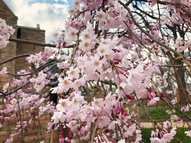 226925F1-D6DB-4678-B5C2-53F8E000A854